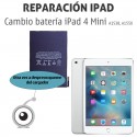 iPad 4 Mini (A1538, A1550 ) | Cambio batería