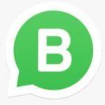 WhatsApp Business, ya disponible en DoctorTronic